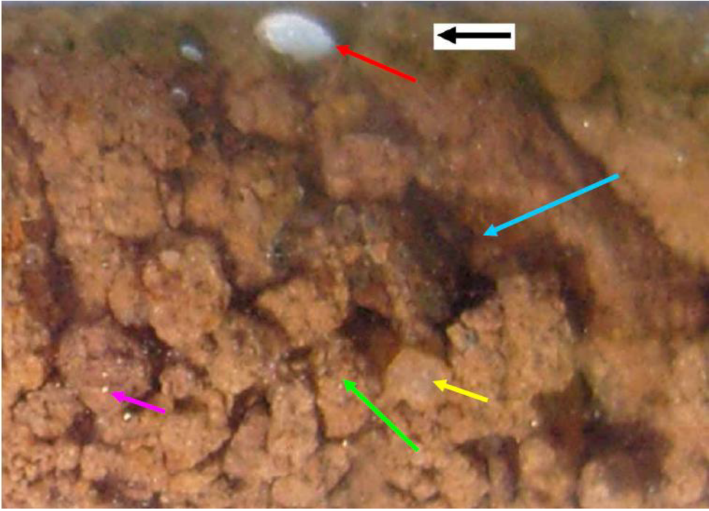 Sustainability 01 00855 g014 1024