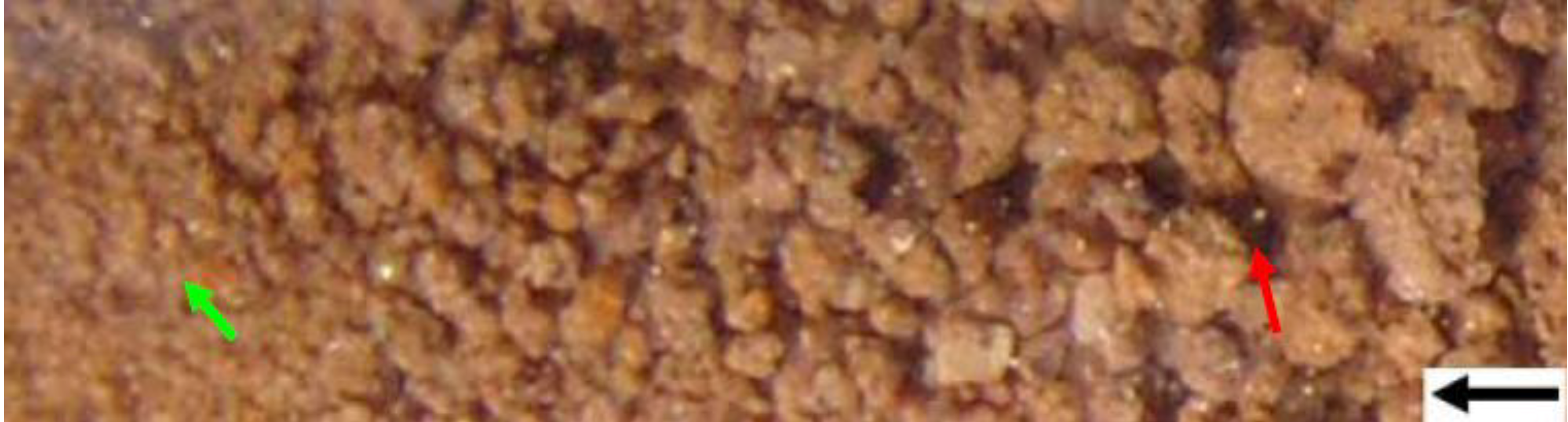 Sustainability 01 00855 g015