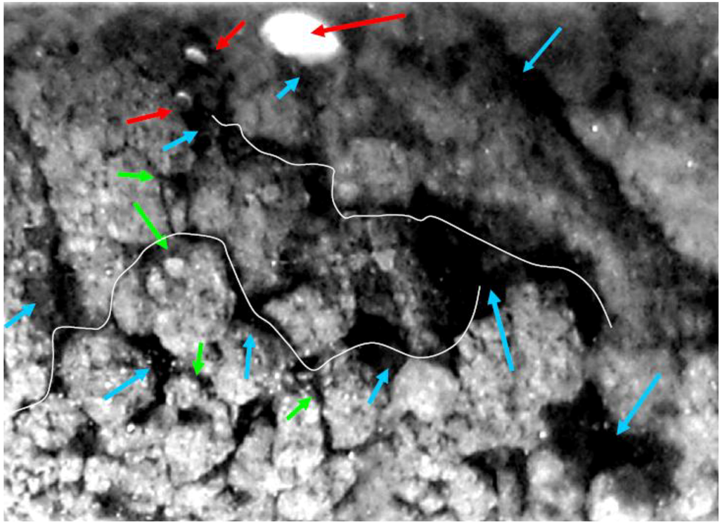 Sustainability 01 00855 g016 1024