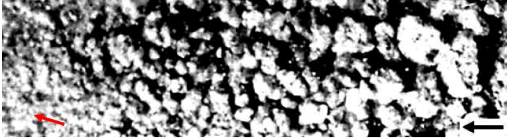 Sustainability 01 00855 g017 1024