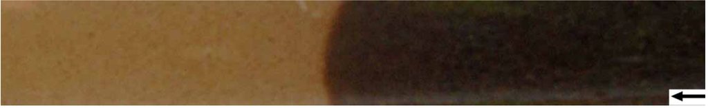 Sustainability 01 00855 g027 1024