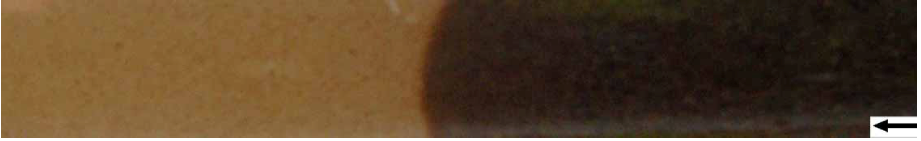 Sustainability 01 00855 g027