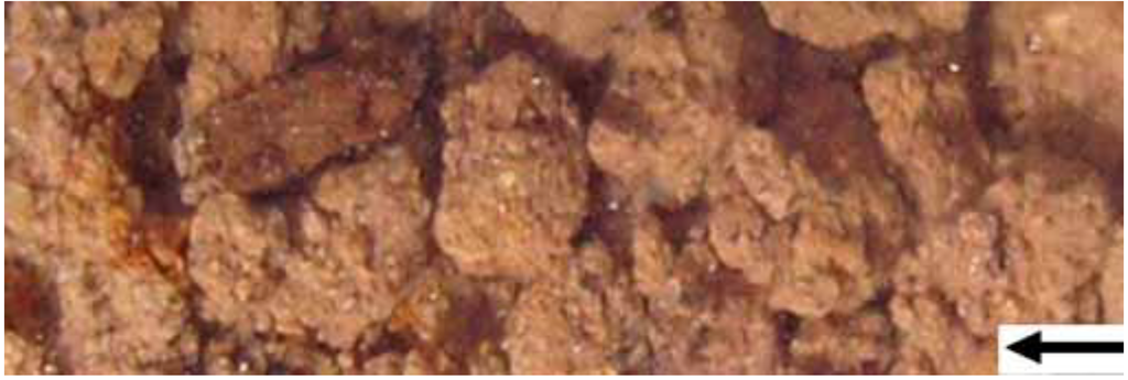 Sustainability 01 00855 g028 1024