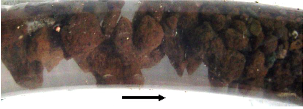 Sustainability 01 00855 g029 1024