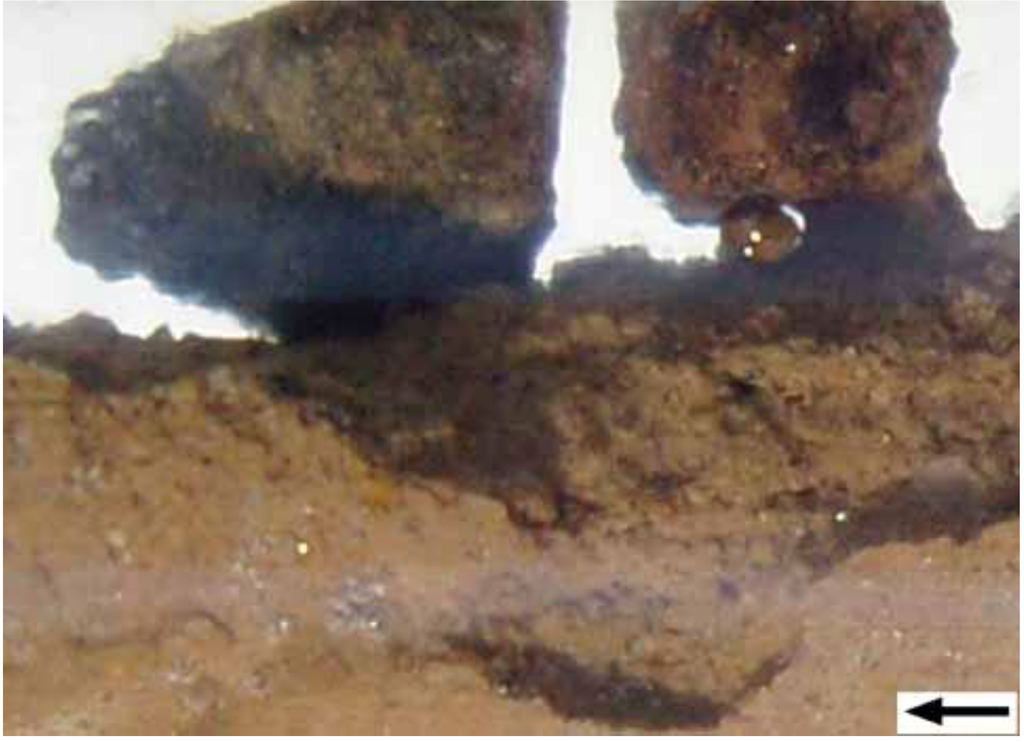 Sustainability 01 00855 g030 1024