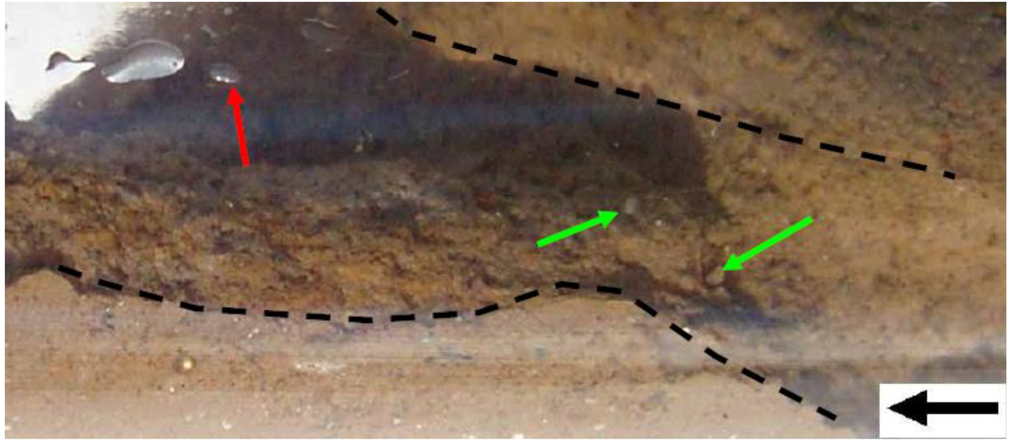 Sustainability 01 00855 g031