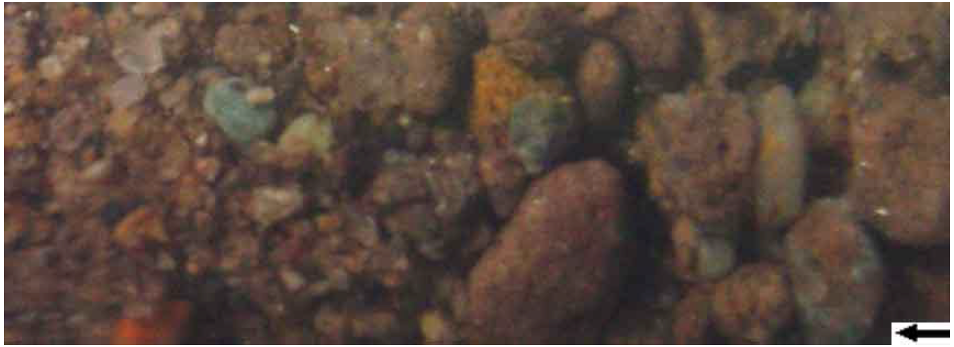 Sustainability 01 00855 g032