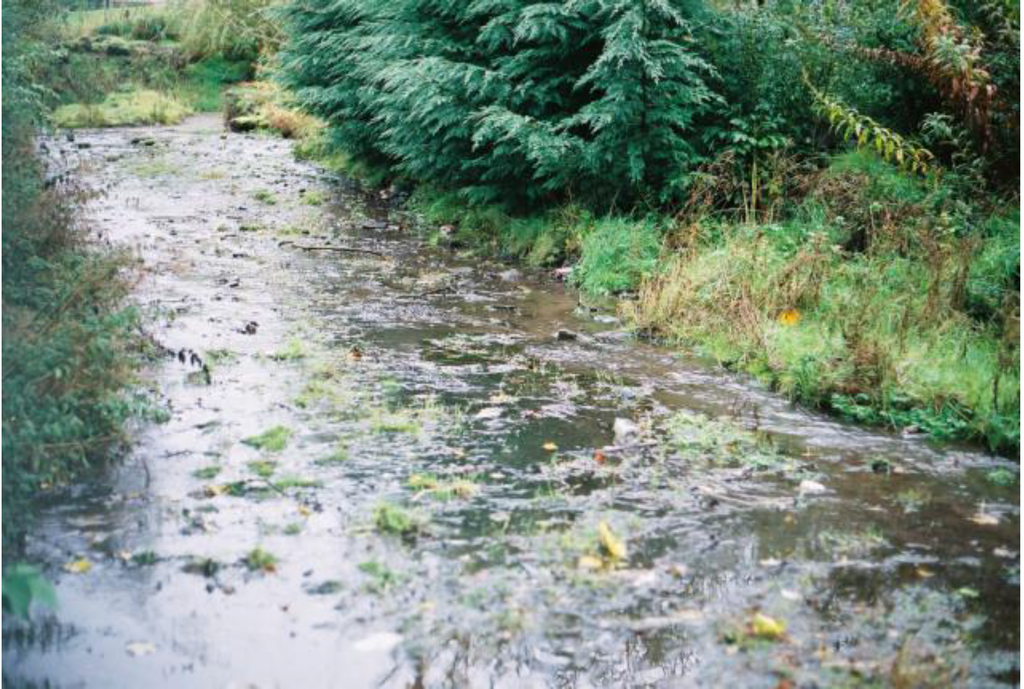 Sustainability 01 00855 g054 1024