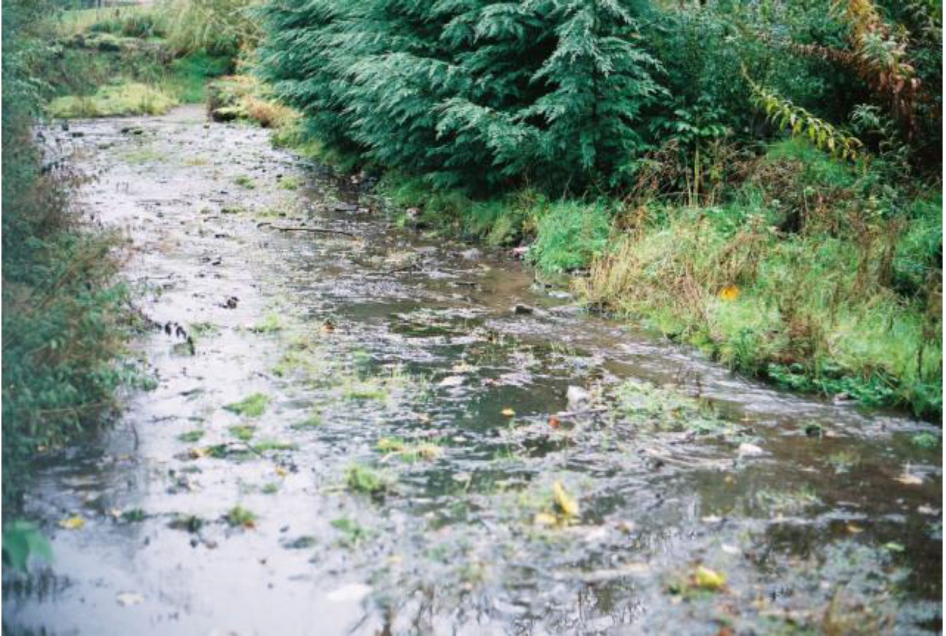 Sustainability 01 00855 g054