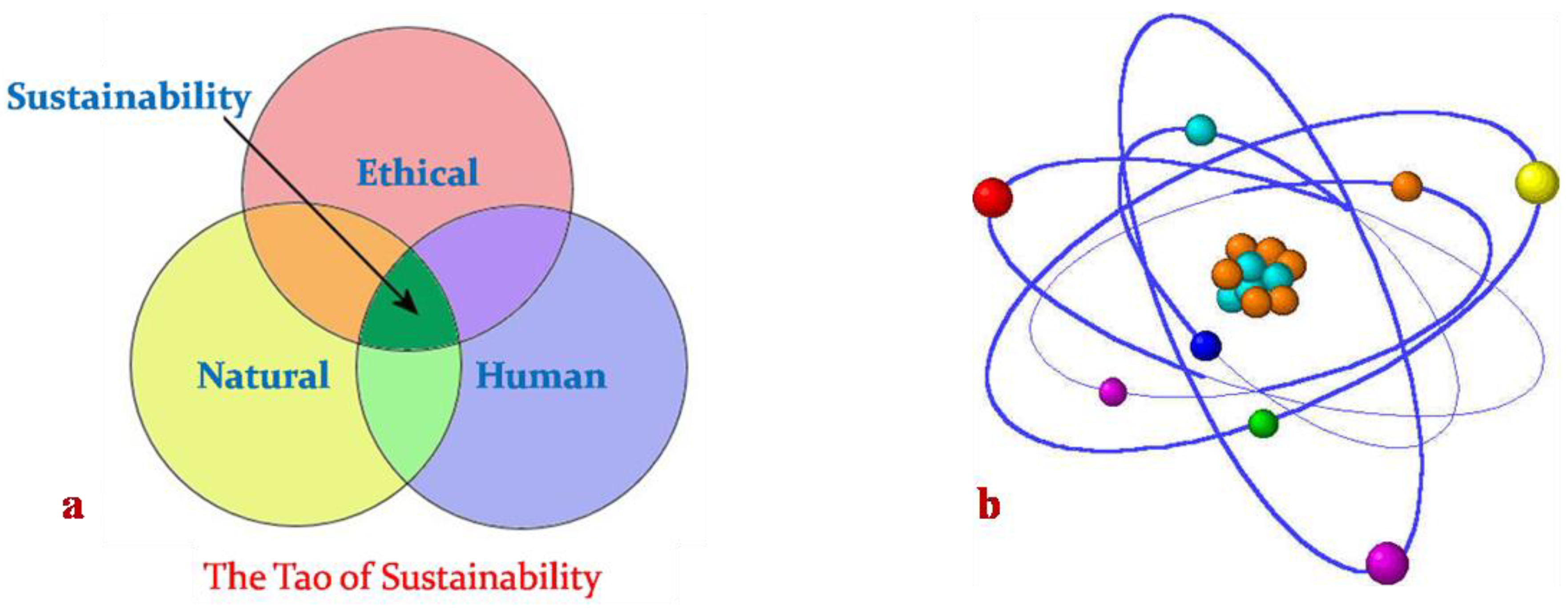 Sustainability 01 01412 g002