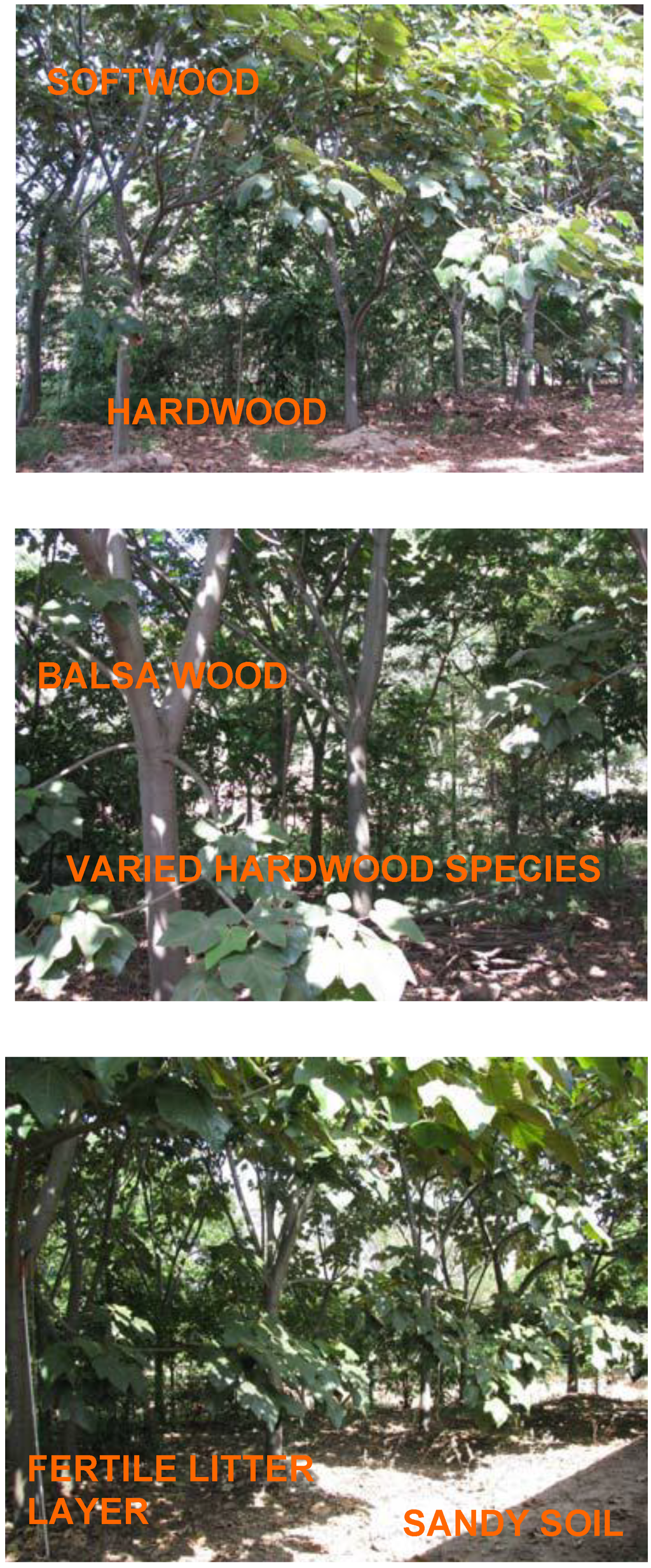 Sustainability 01 01431 g002 1024