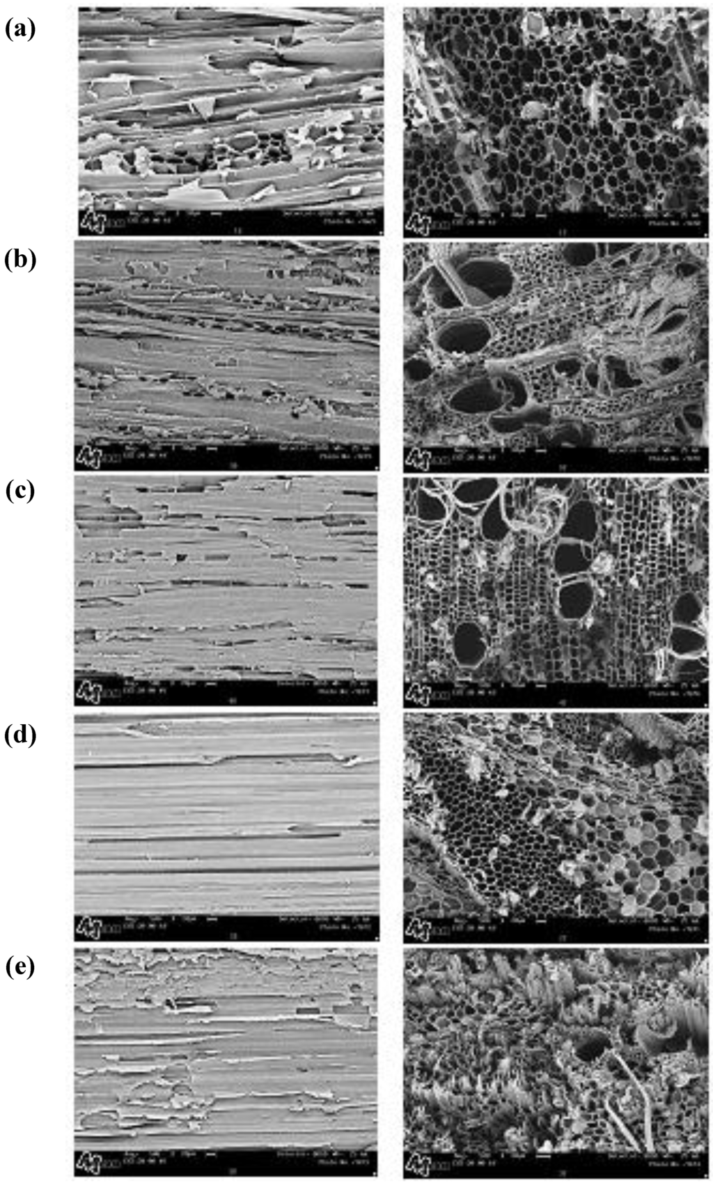 Sustainability 01 01431 g003 1024