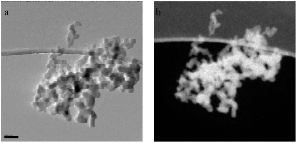 Sustainability 02 00294 g001 1024
