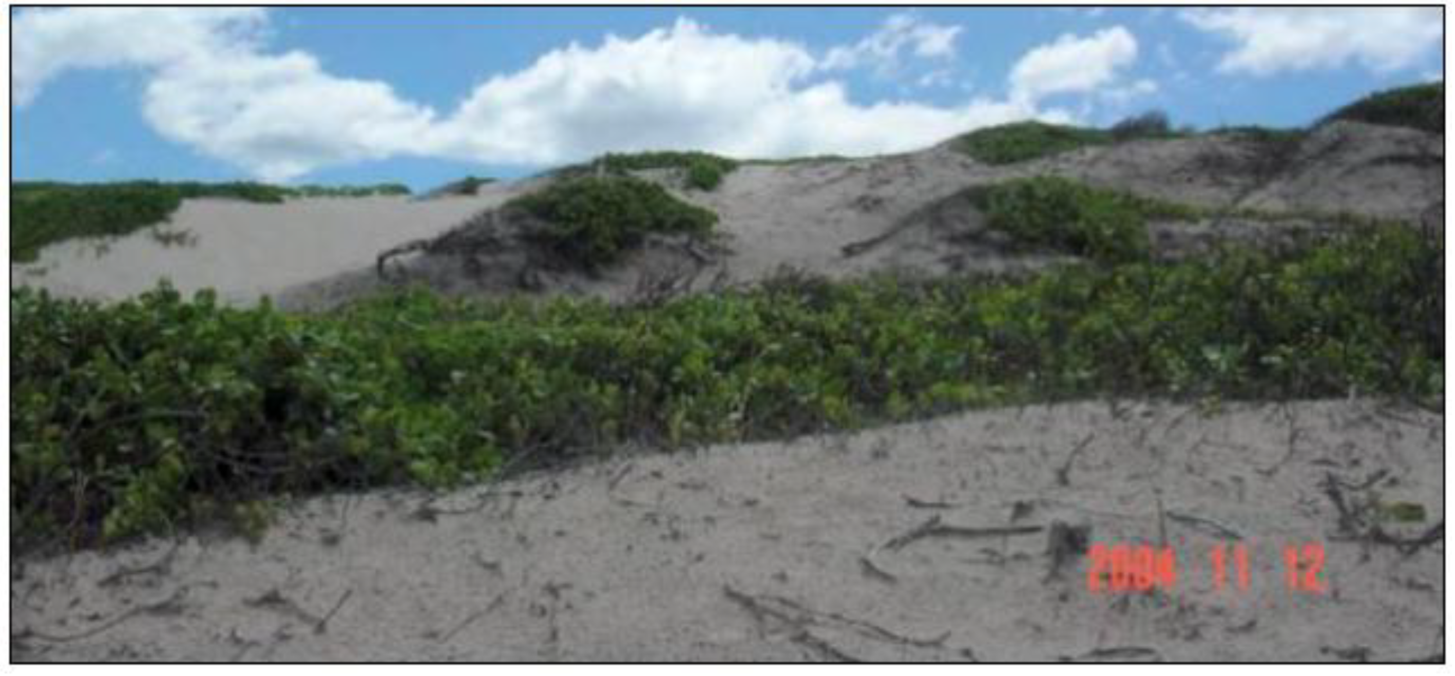 Sustainability 02 00717 g002