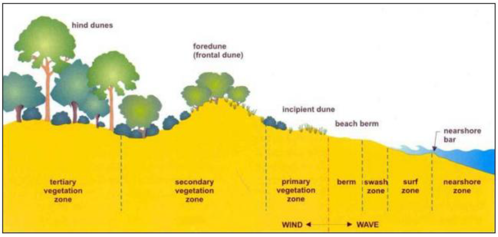 Sustainability 02 00717 g003 1024