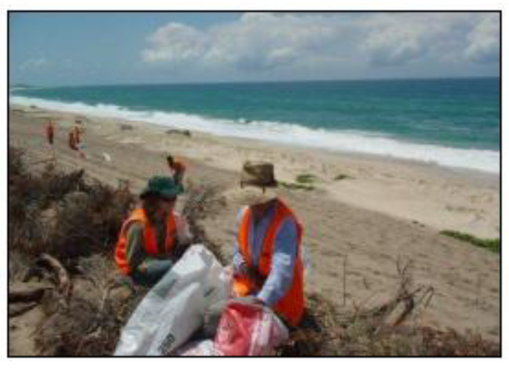 Sustainability 02 00717 g009 1024