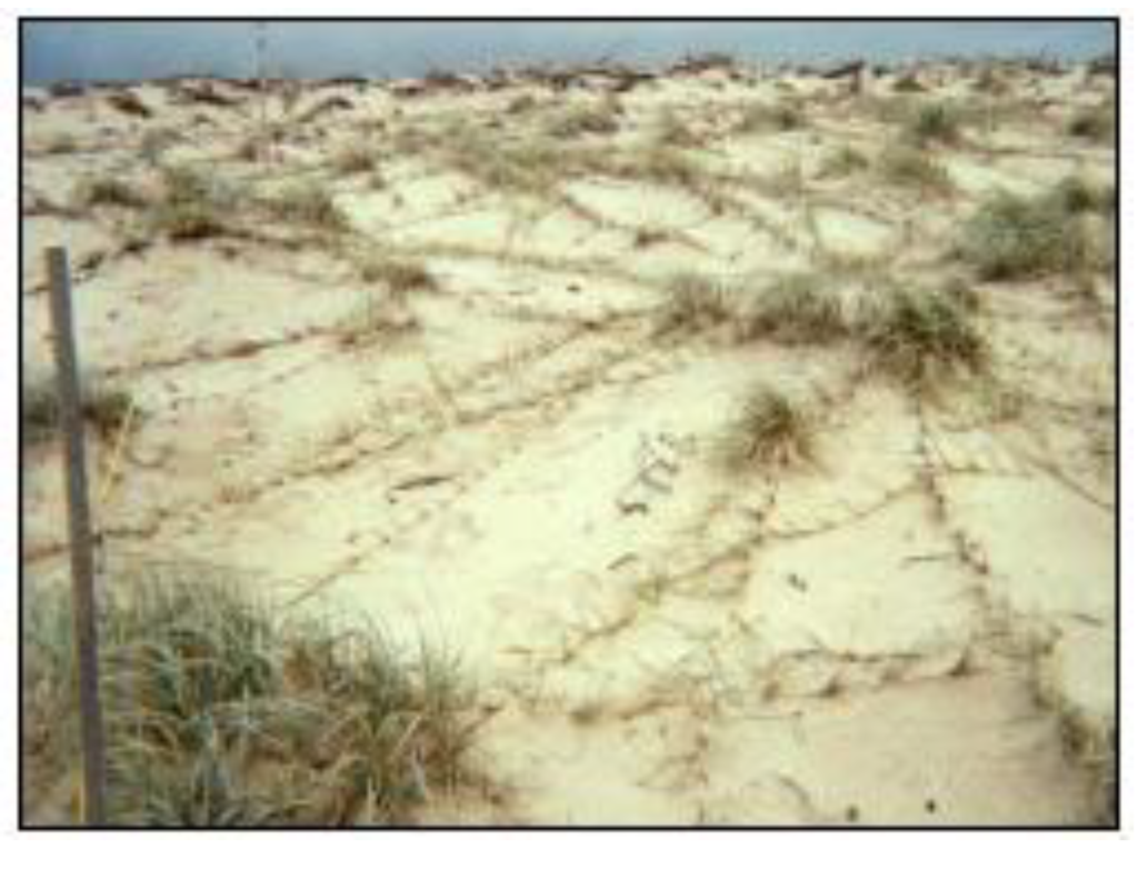 Sustainability 02 00717 g013 1024