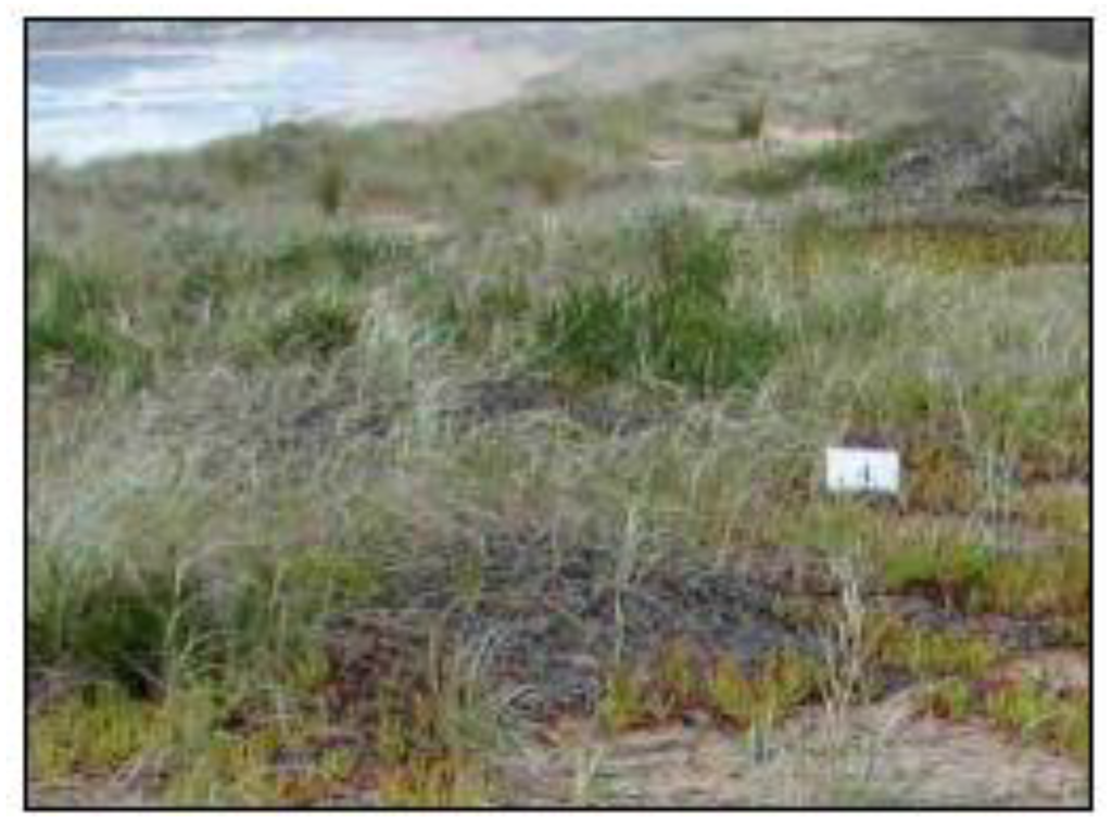 Sustainability 02 00717 g014 1024