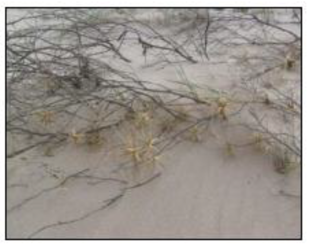 Sustainability 02 00717 g018 1024