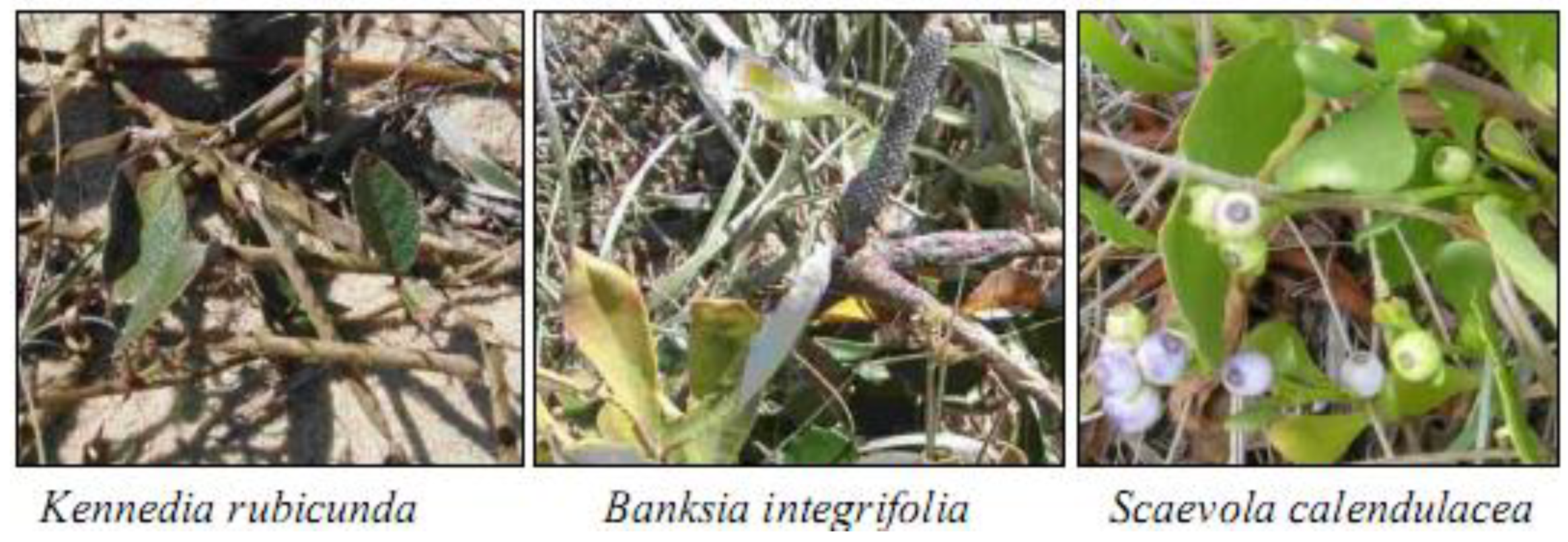 Sustainability 02 00717 g023