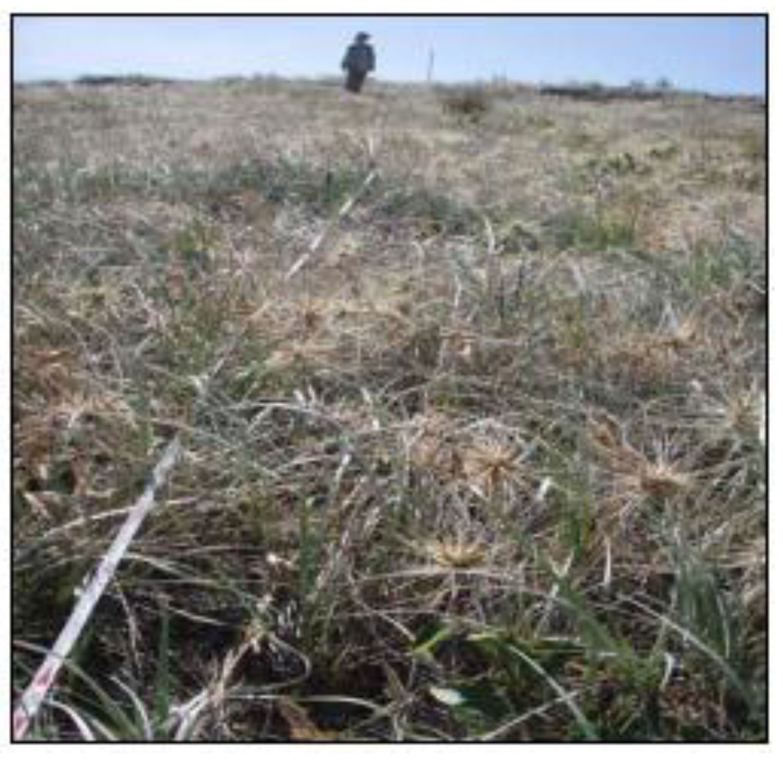 Sustainability 02 00717 g024