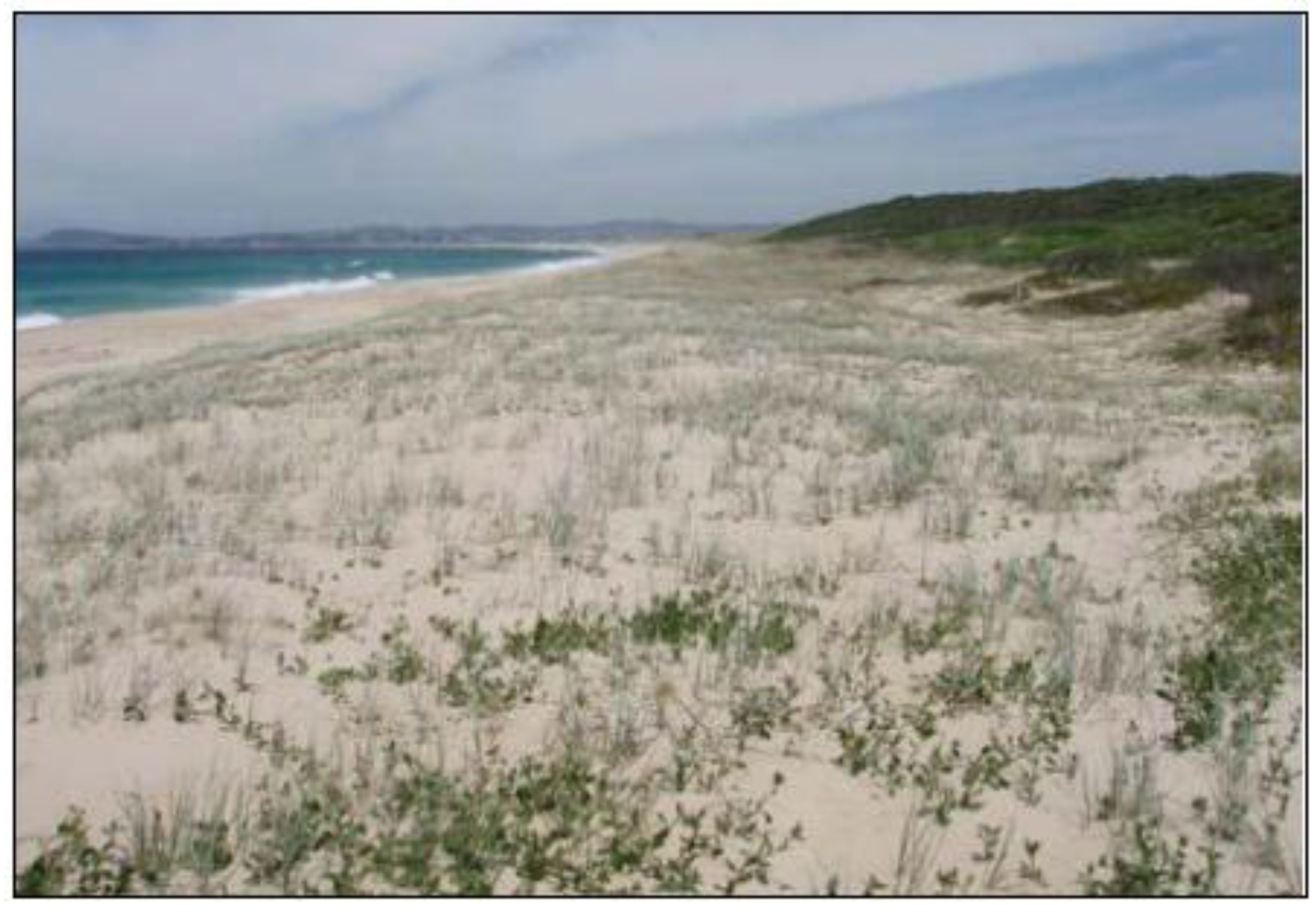 Sustainability 02 00717 g025