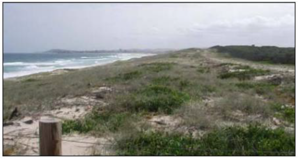 Sustainability 02 00717 g026 1024