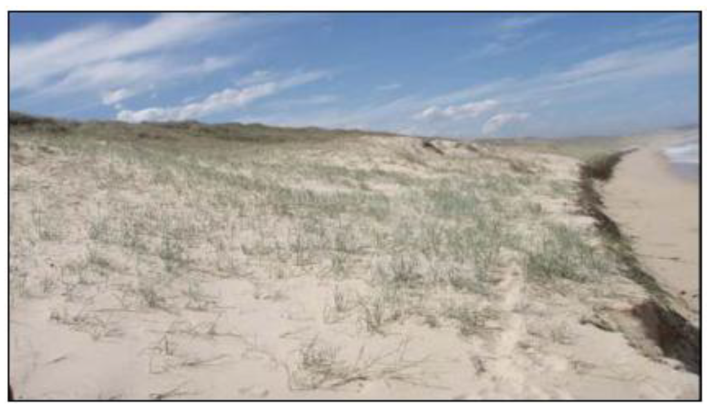 Sustainability 02 00717 g027 1024