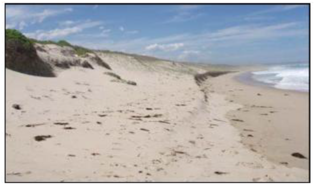 Sustainability 02 00717 g028 1024