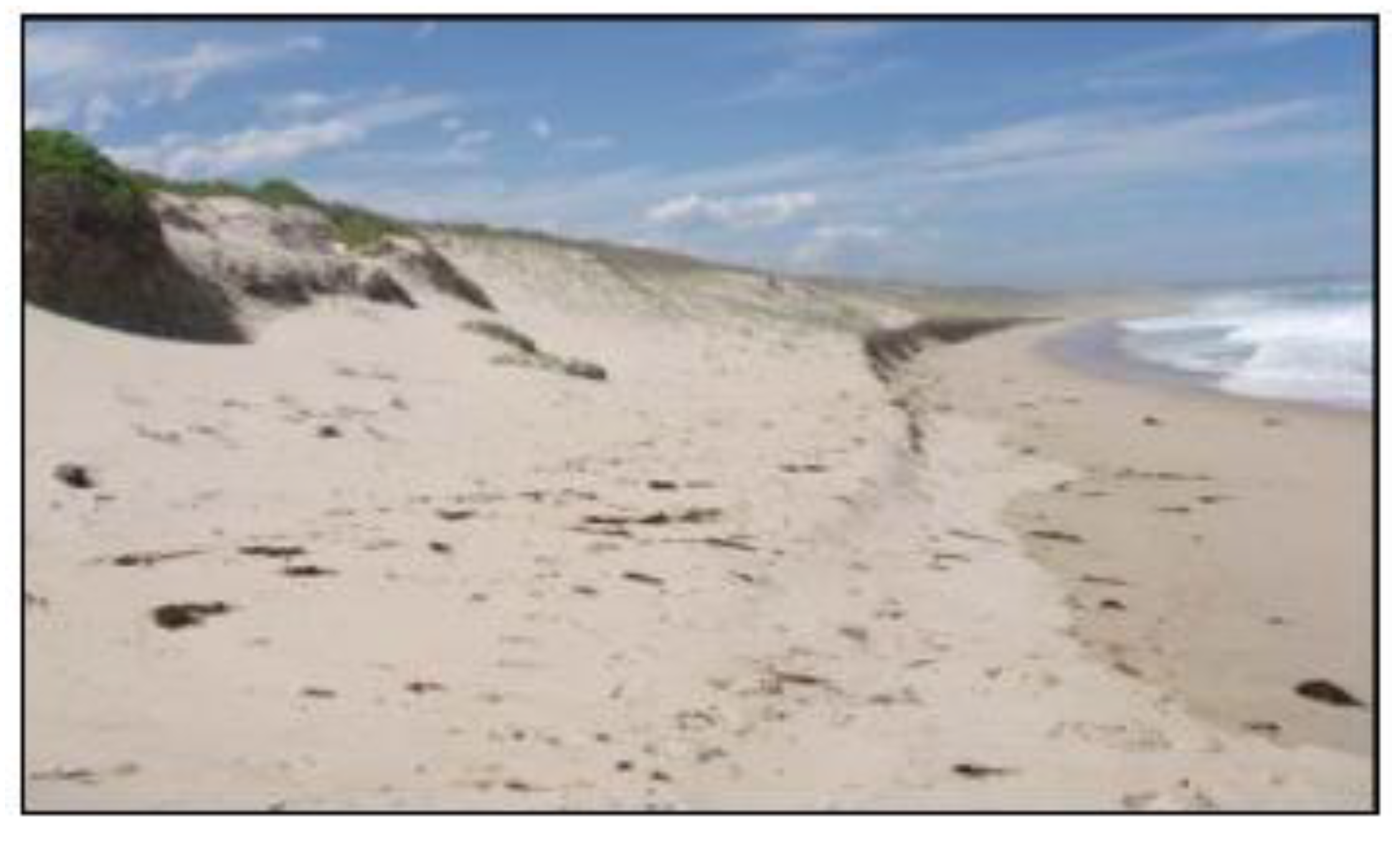 Sustainability 02 00717 g028