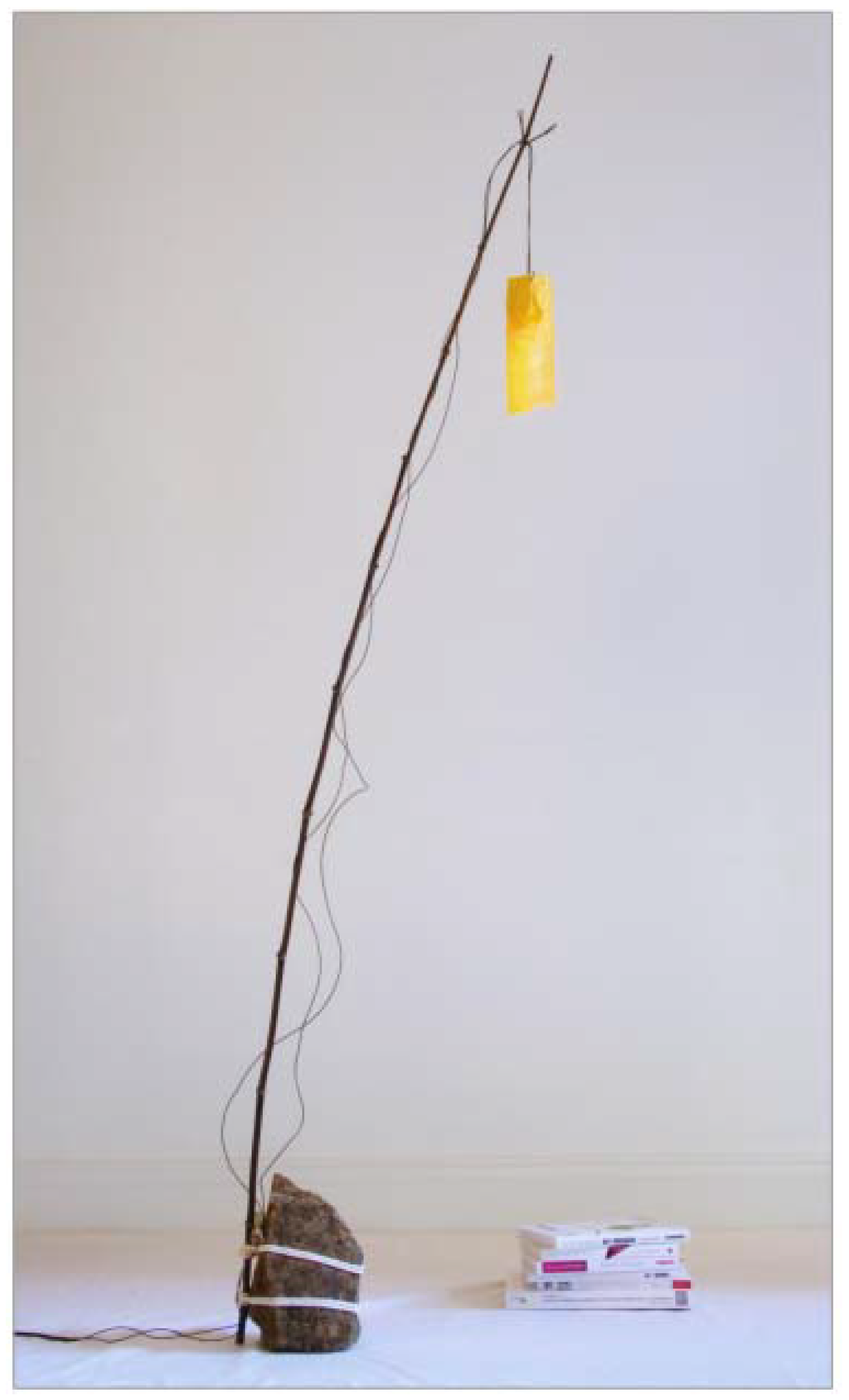 Sustainability 02 00812 g002 1024