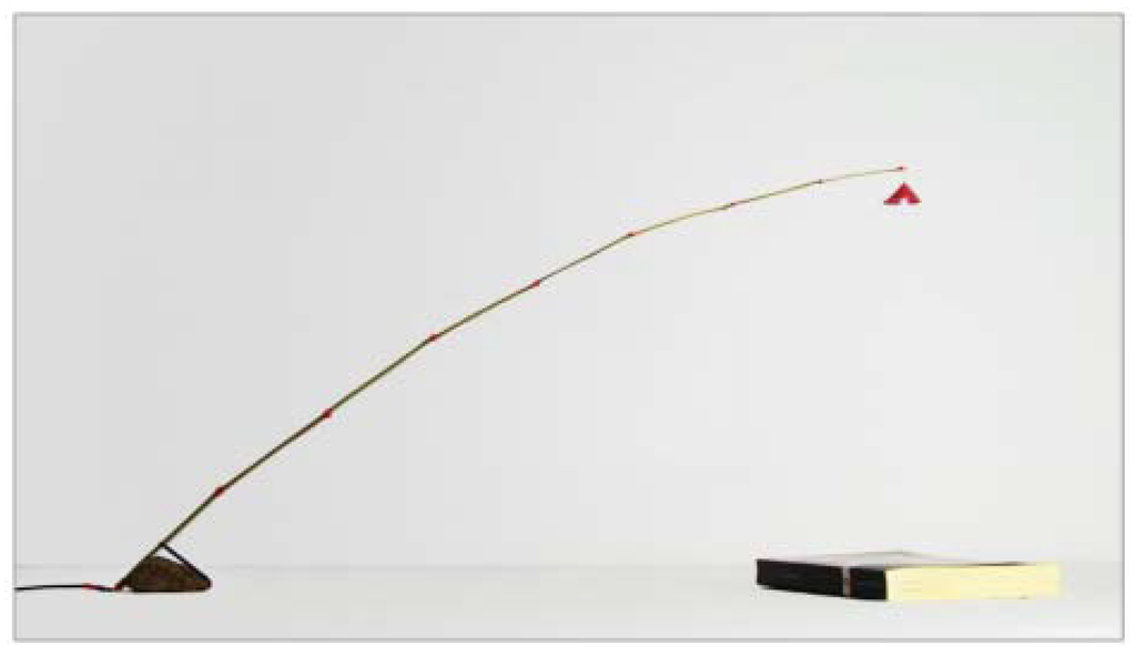 Sustainability 02 00812 g003 1024