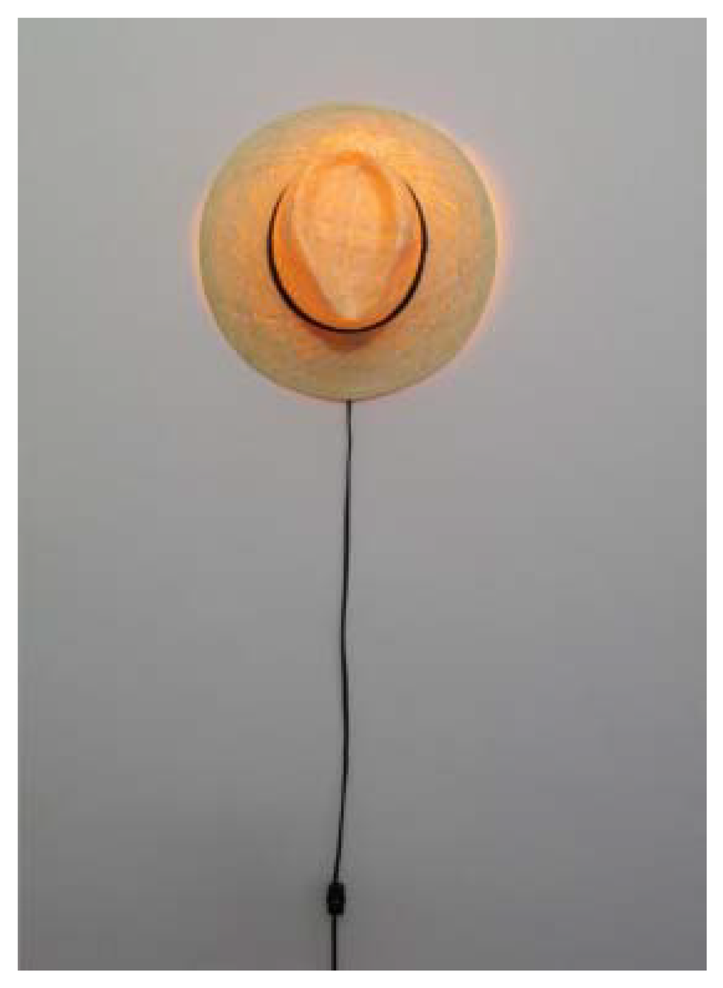 Sustainability 02 00812 g006 1024