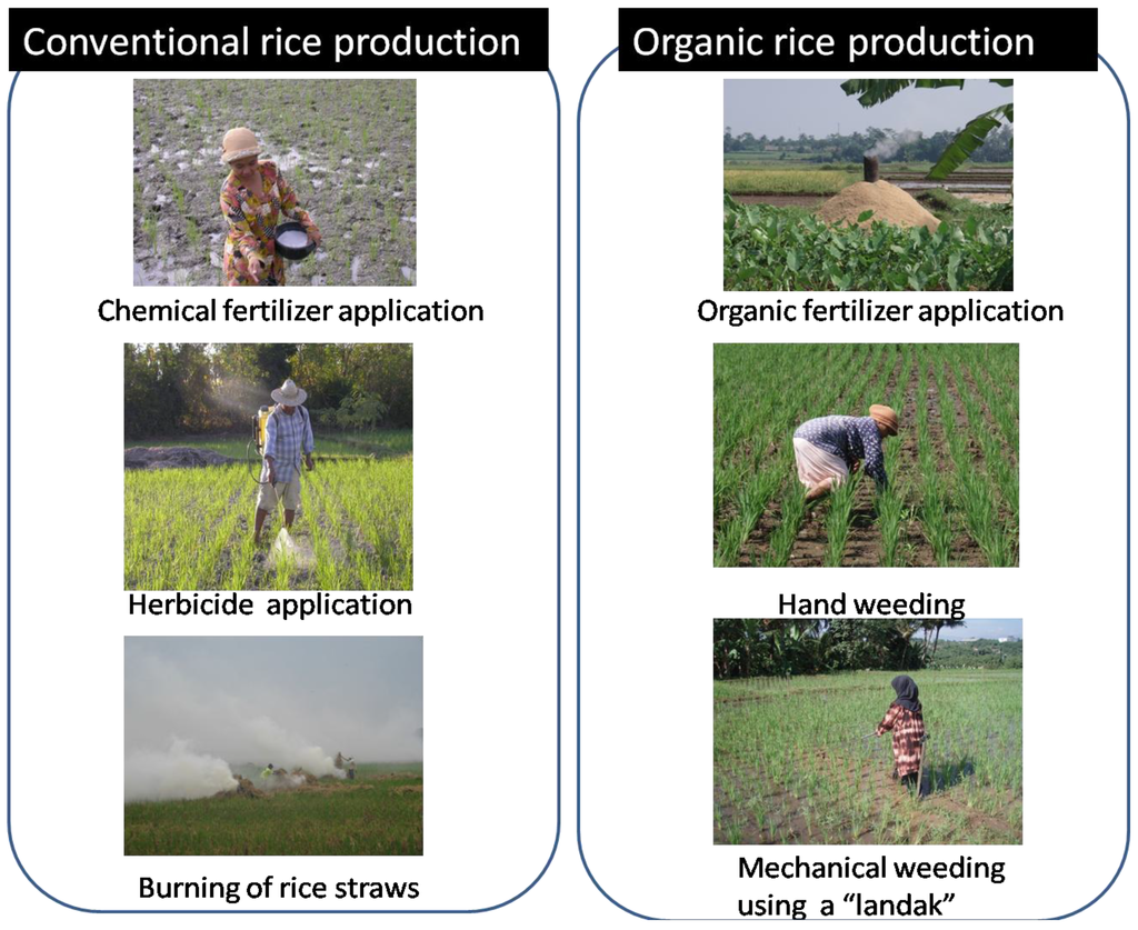 Sustainability 02 00833 g002 1024