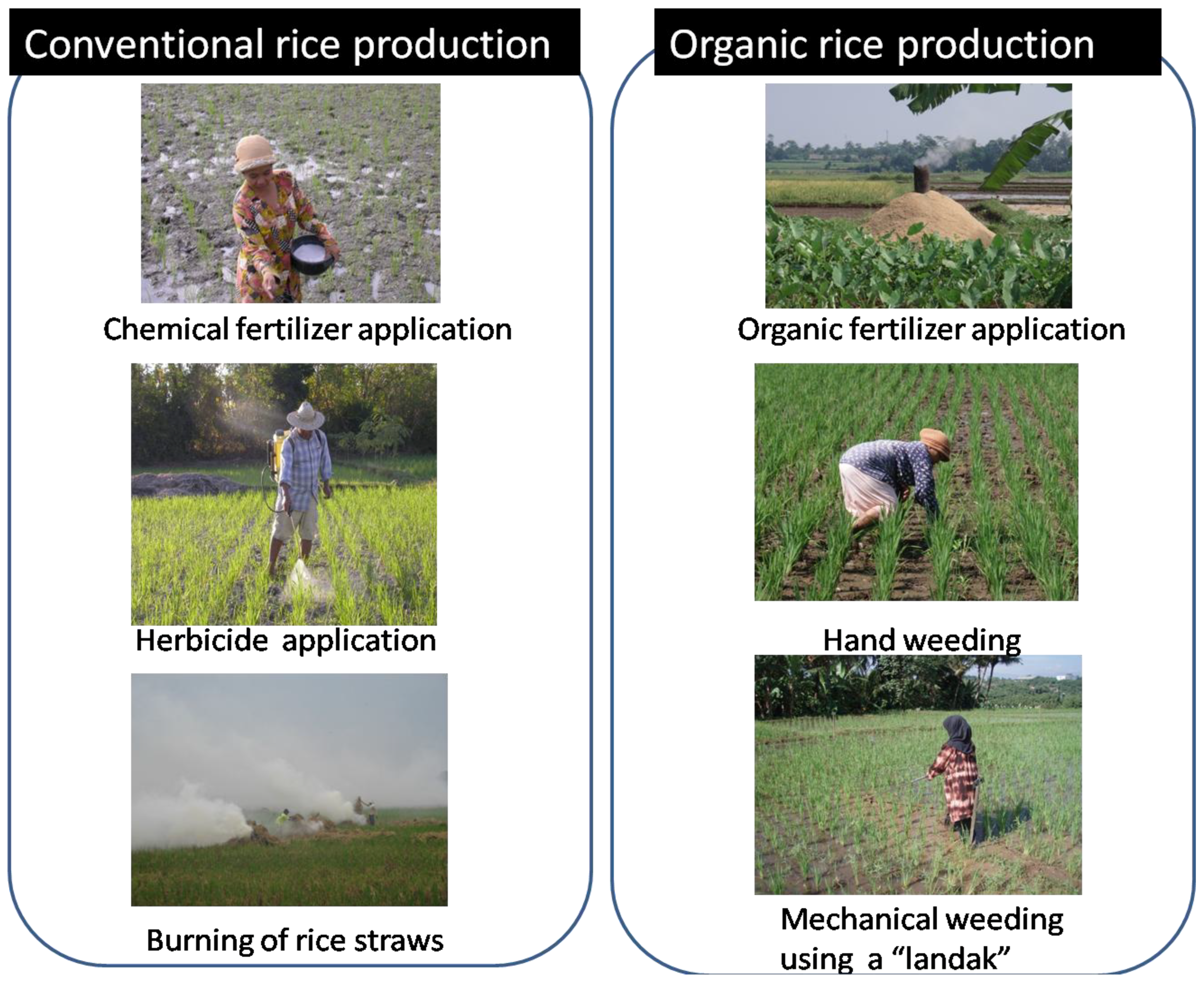 Sustainability 02 00833 g002