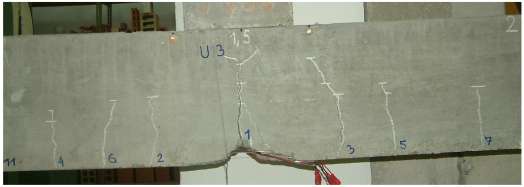 Sustainability 02 01204 g017 1024