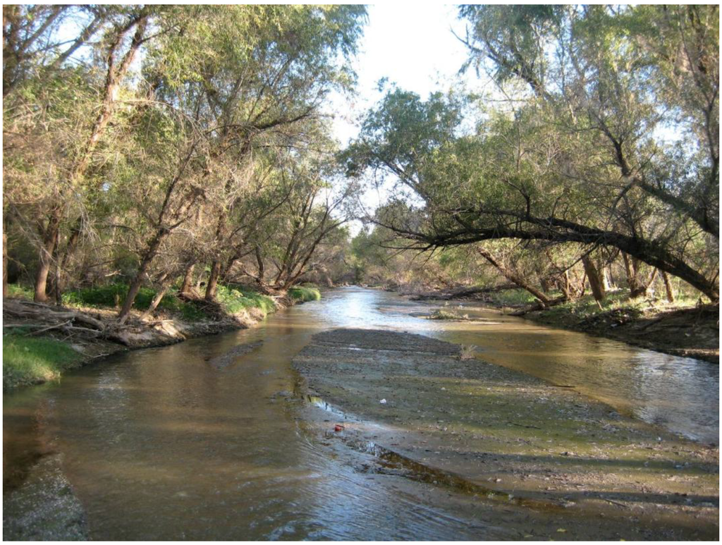 Sustainability 02 02044 g004 1024