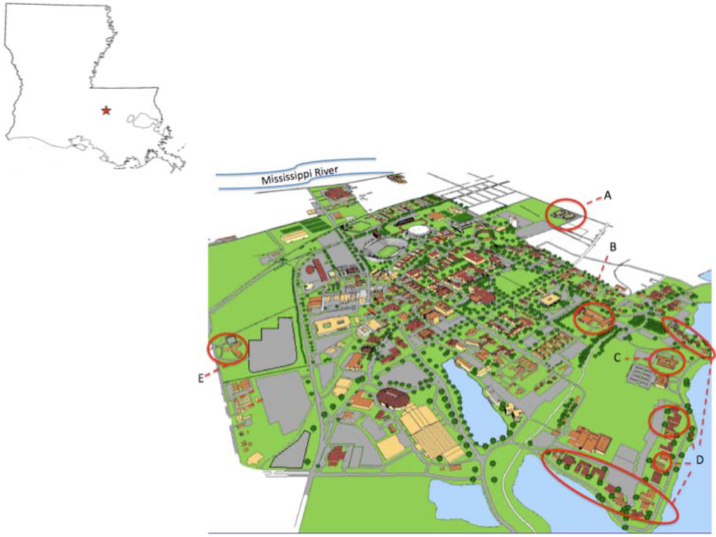 Sustainability 02 02117 g001 1024