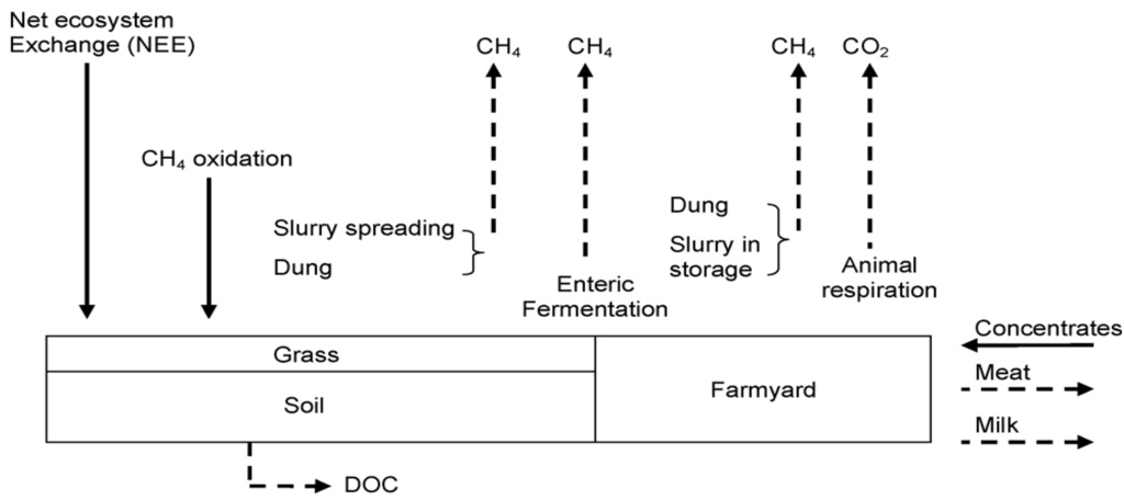 Sustainability 02 02555 g001 1024
