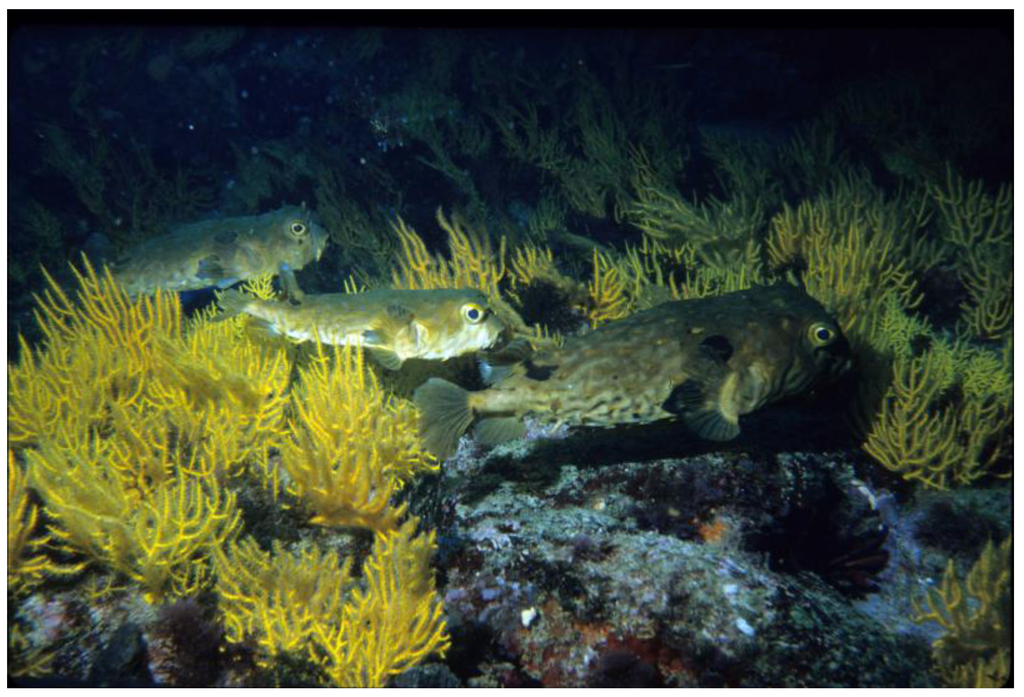 Sustainability 02 02919 g002 1024