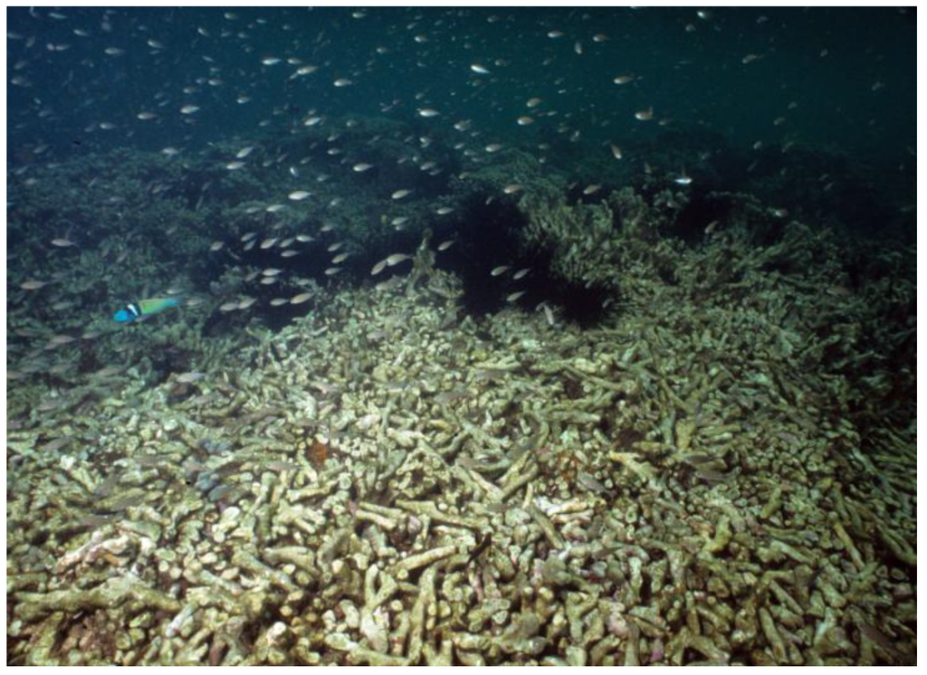 Sustainability 02 02919 g003 1024