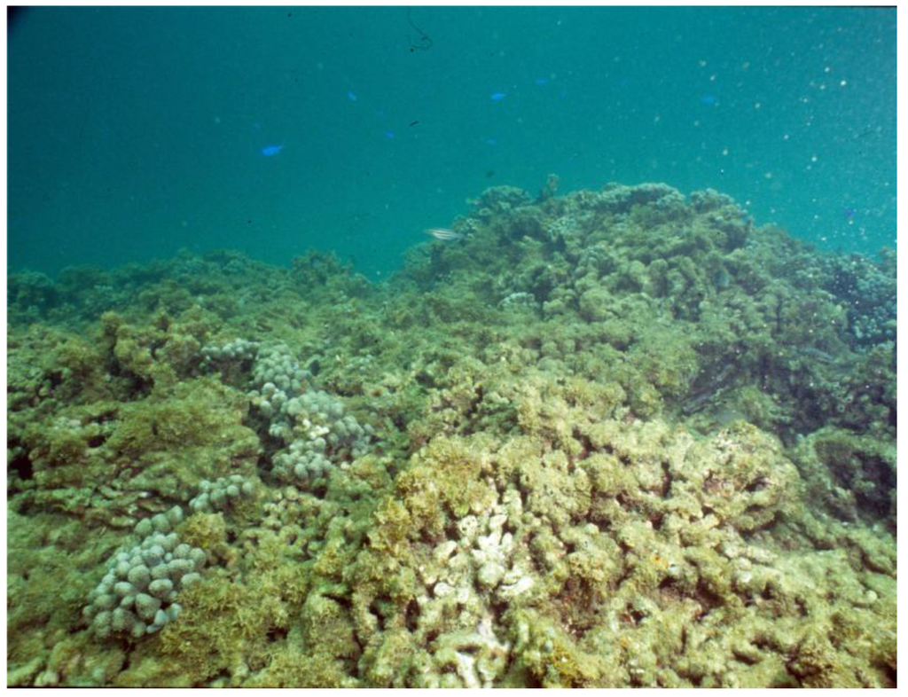 Sustainability 02 02919 g004 1024