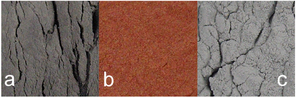 Sustainability 02 02988 g002 1024