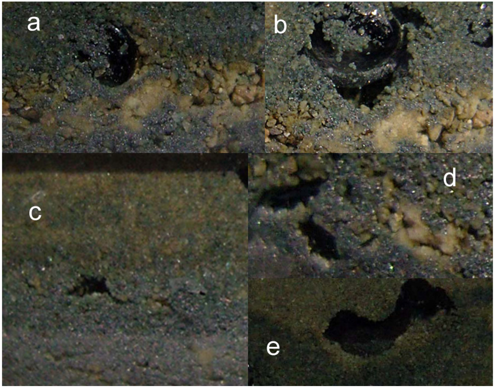 Sustainability 02 02988 g005 1024