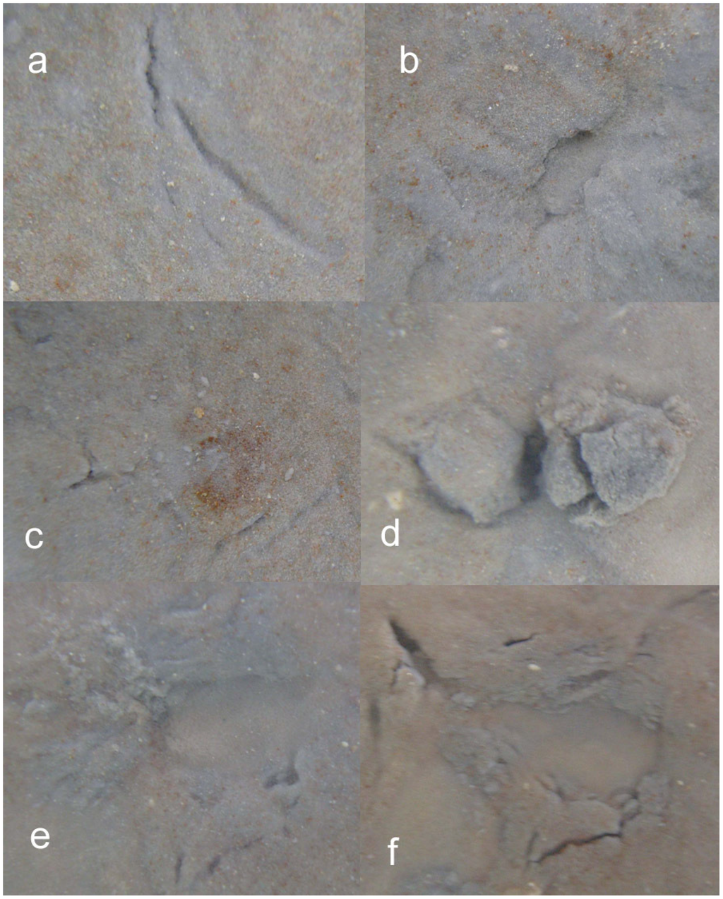 Sustainability 02 02988 g006 1024