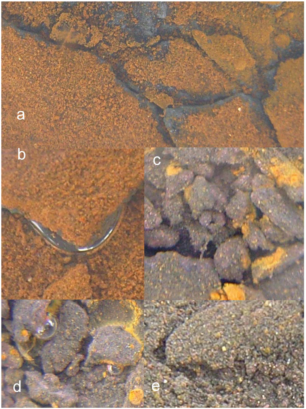 Sustainability 02 02988 g007 1024