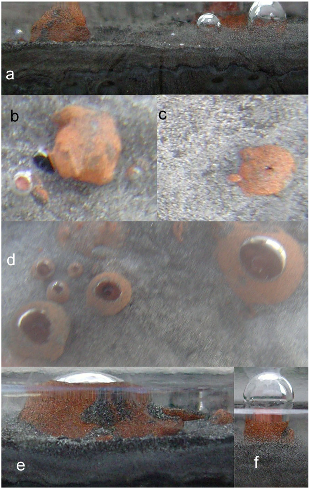 Sustainability 02 02988 g008 1024