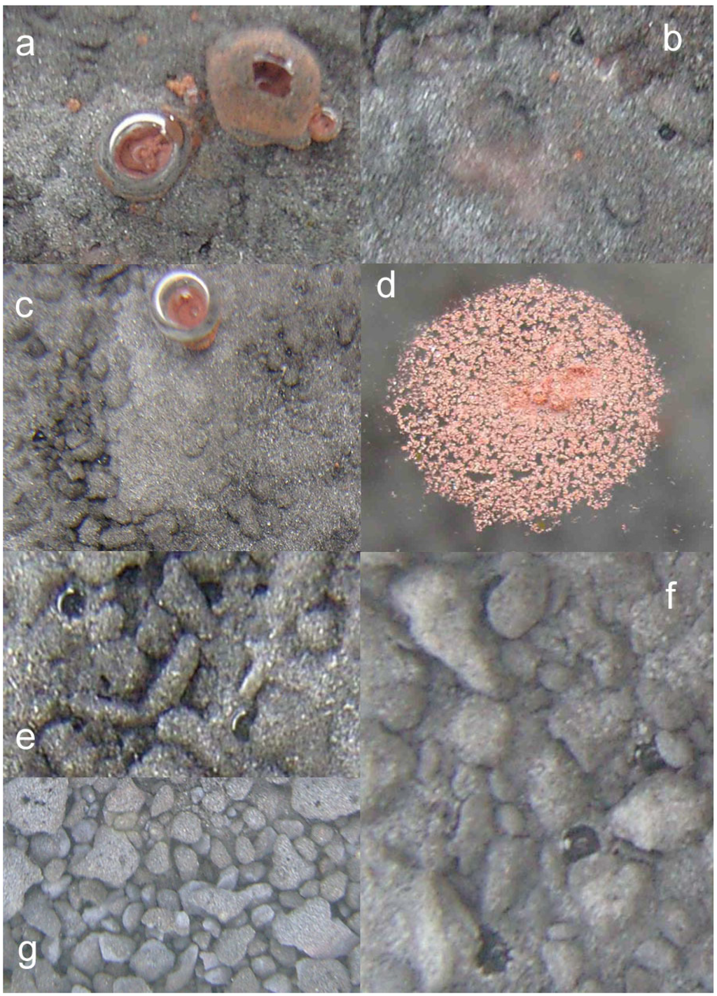 Sustainability 02 02988 g009 1024