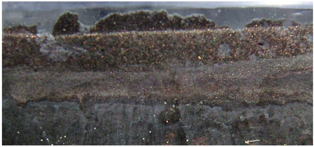 Sustainability 02 02988 g010 1024