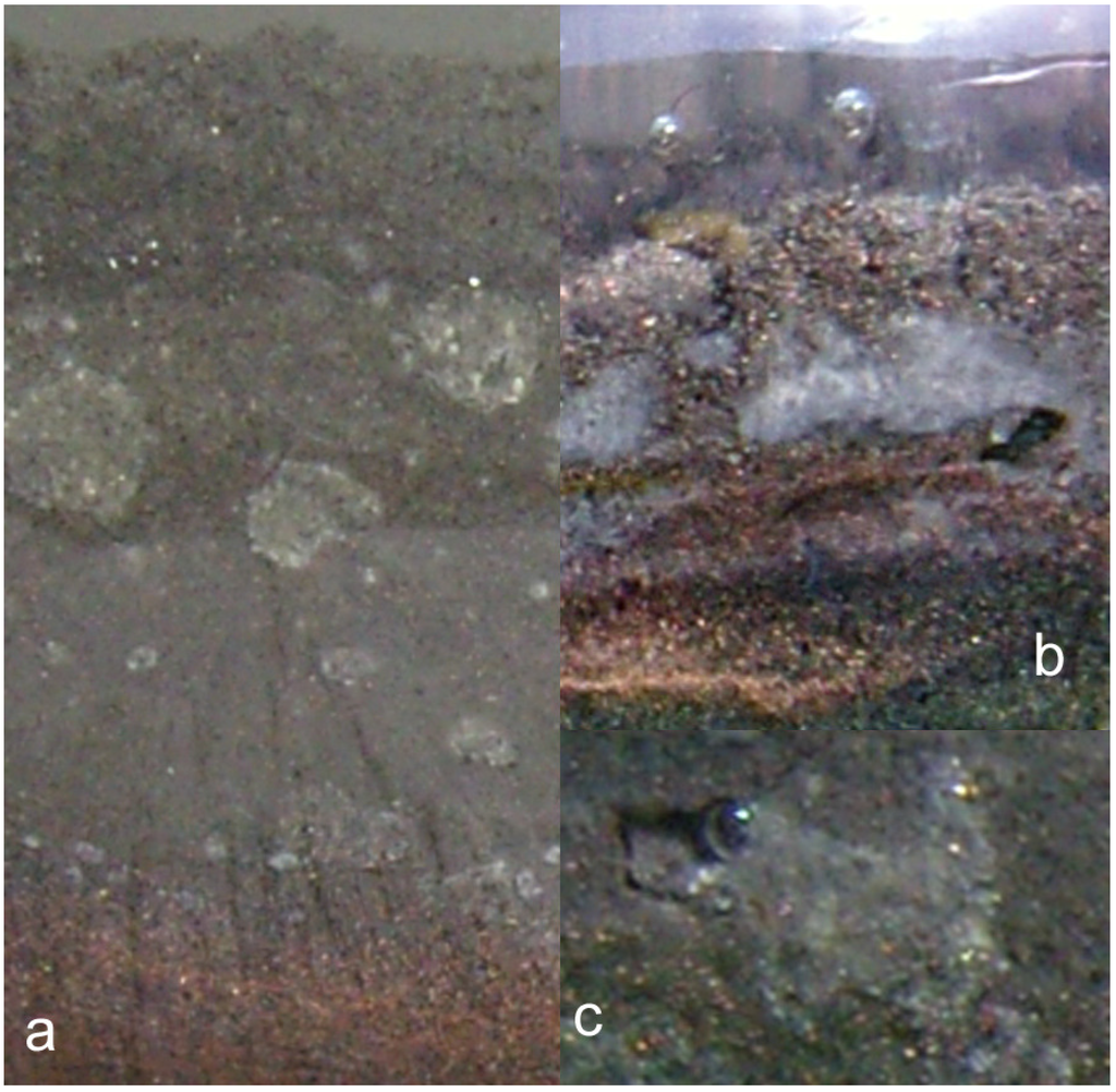 Sustainability 02 02988 g041 1024